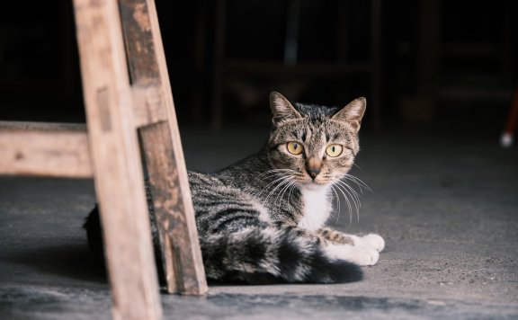 通过Dockerfile构建Docker镜像创建并运行容器并打包镜像